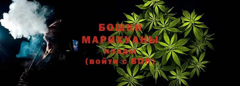 Бошки марихуана Amnesia  Горбатов 